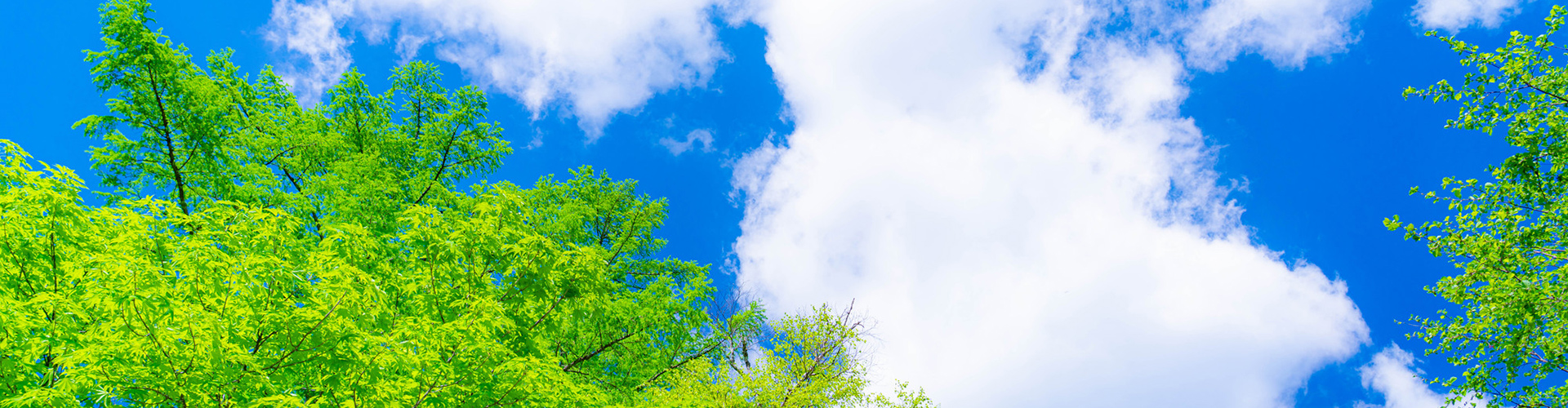 空の画像